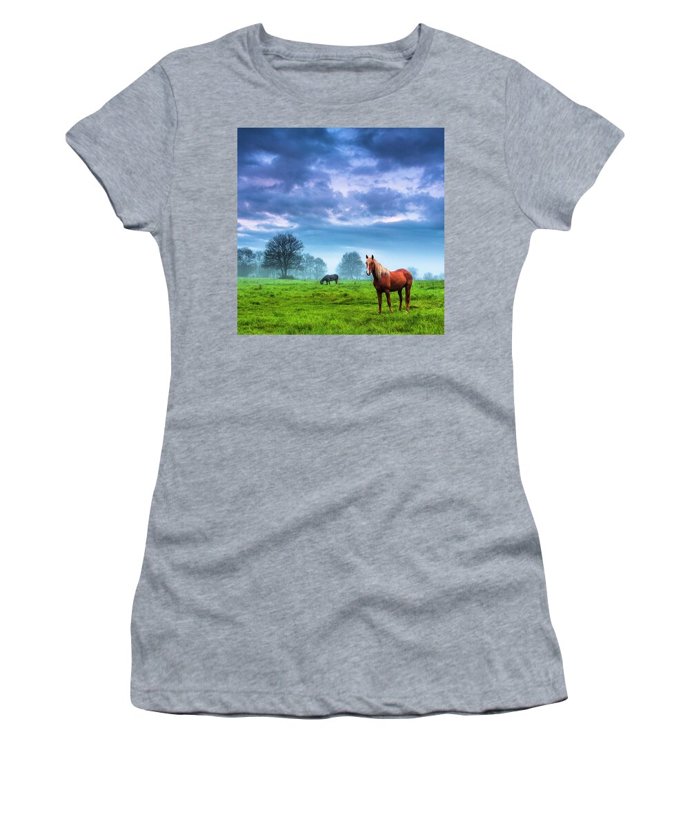 Fog Women's T-Shirt featuring the photograph Green Morn by Evgeni Dinev
