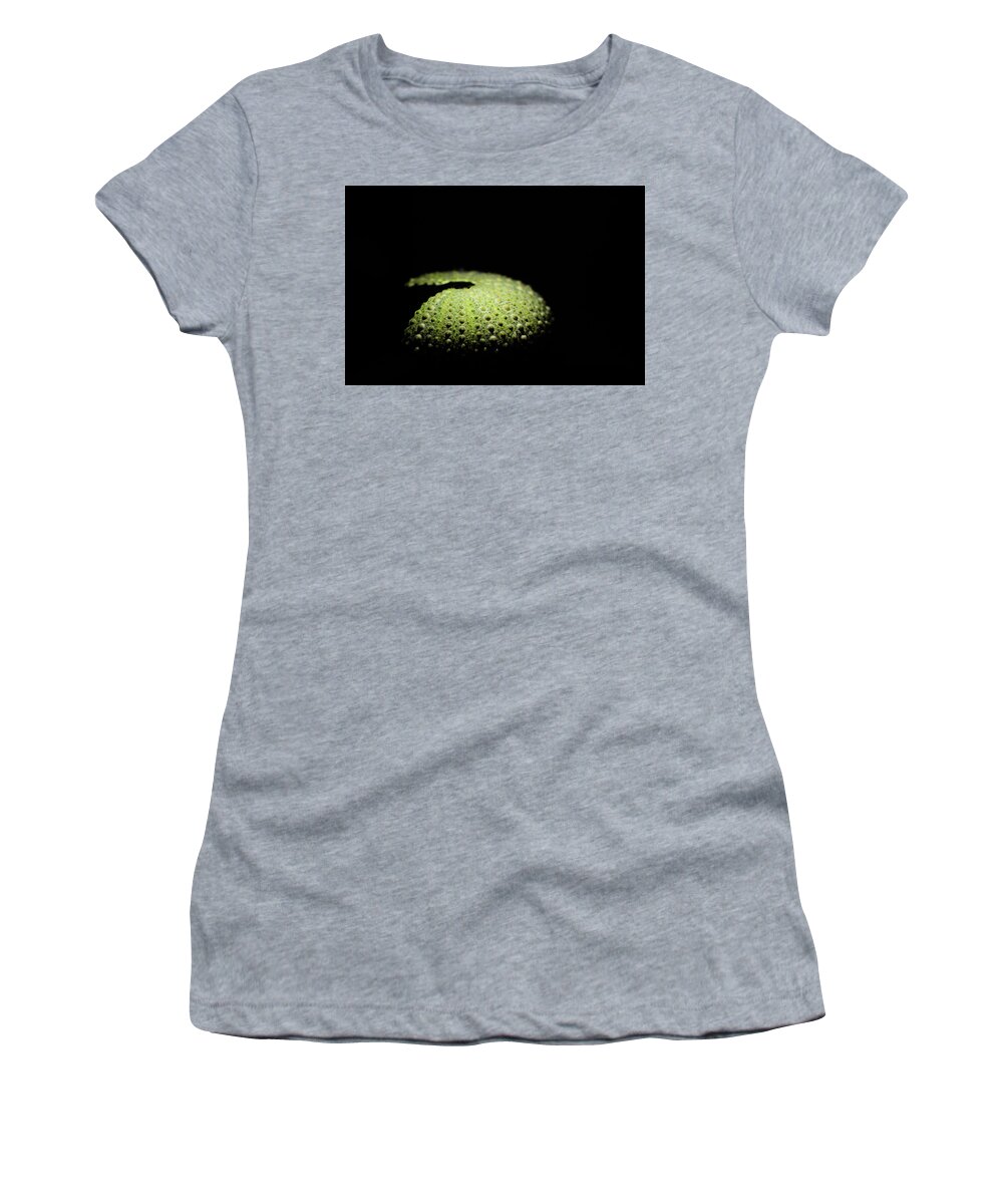 Green Women's T-Shirt featuring the photograph Green sea urchin shell by Maria Dimitrova