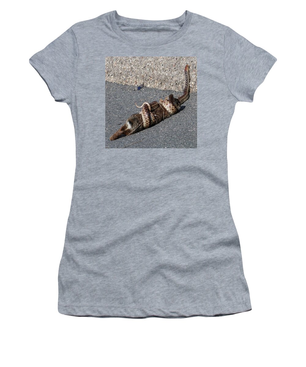 Cottontail Rabbit Women's T-Shirt featuring the photograph Grips of Death by Perry Hoffman