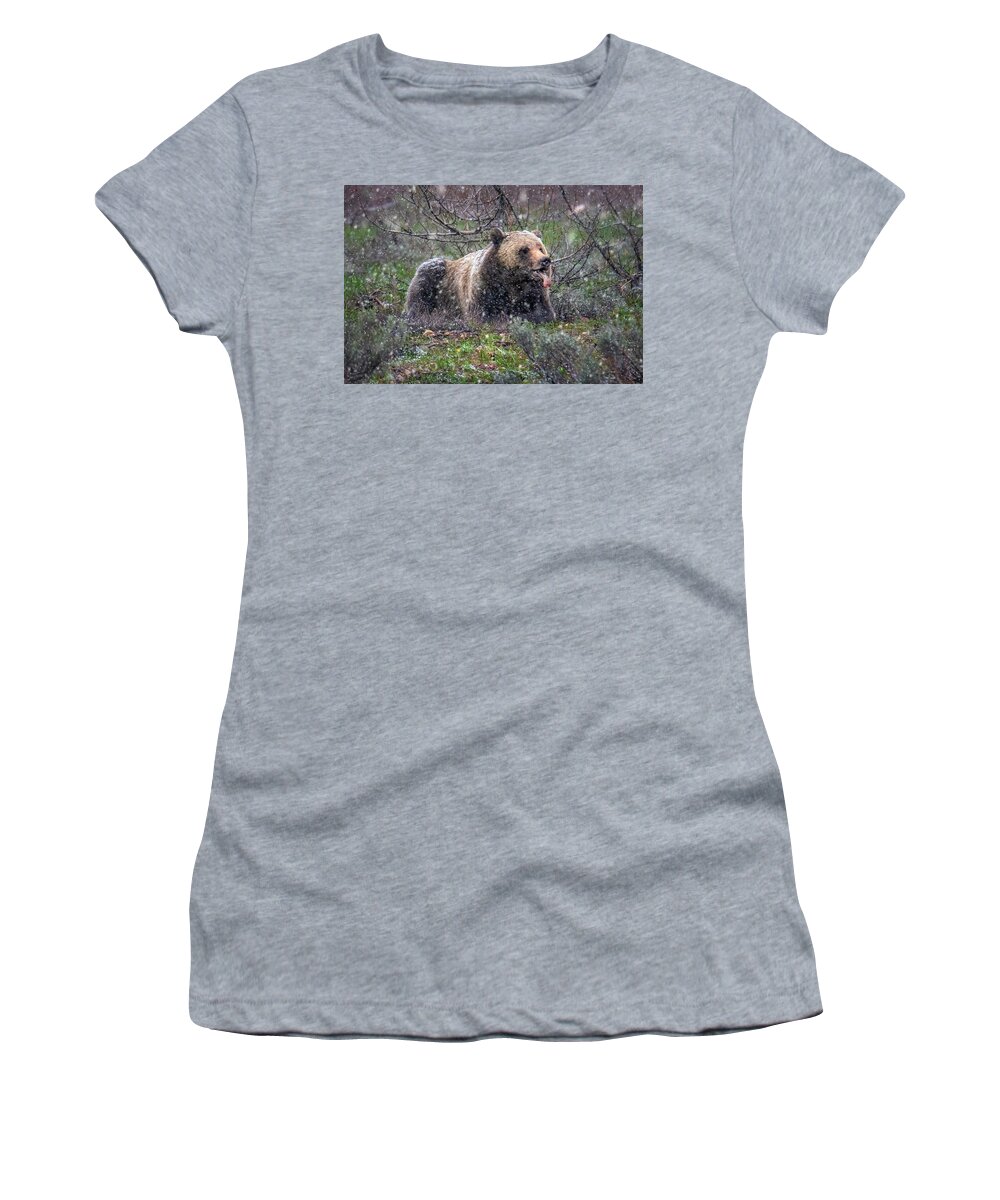 Snowflake Women's T-Shirt featuring the photograph Grizzly Catching Snowflakes by Michael Ash