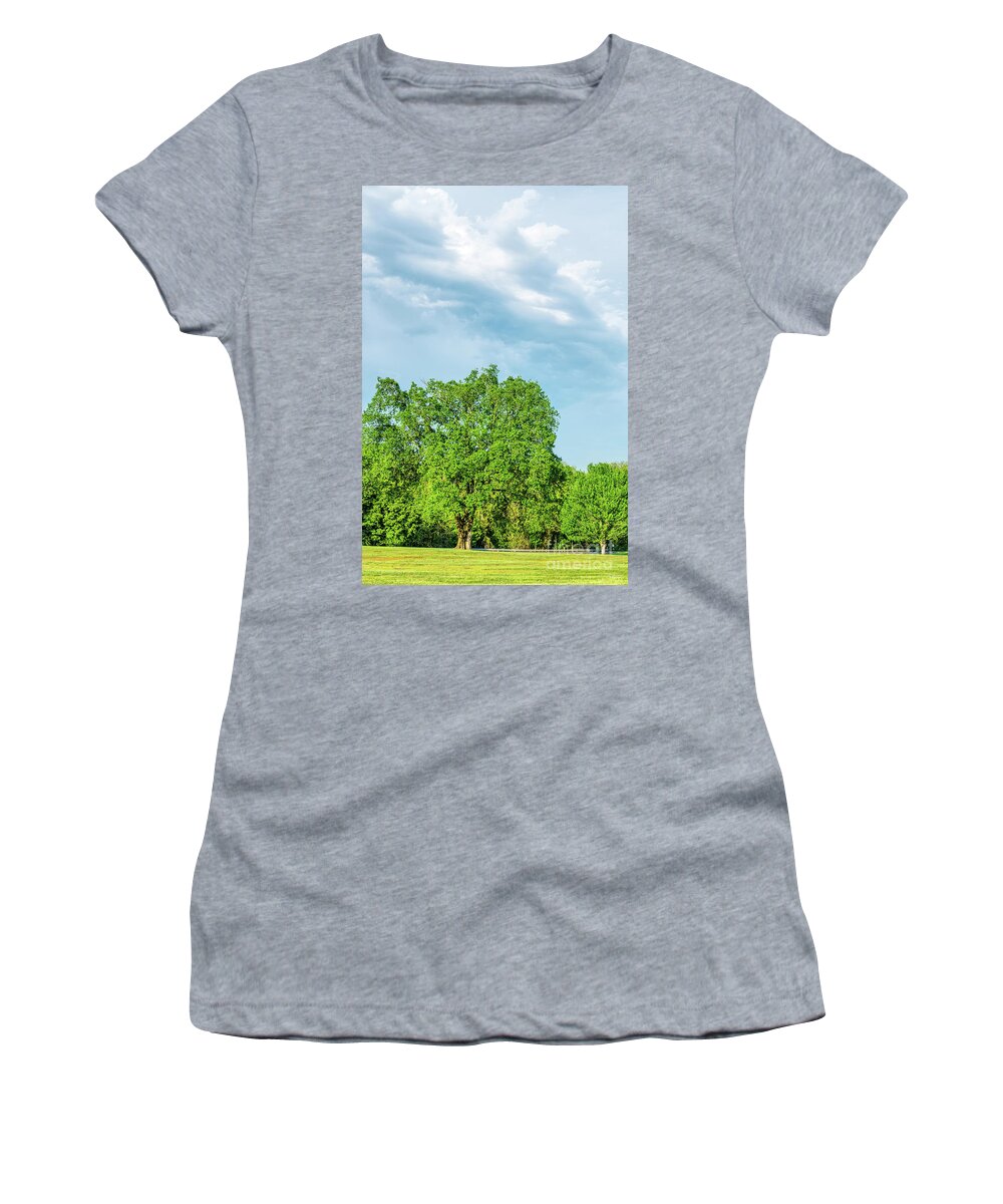 Elm Women's T-Shirt featuring the photograph Half Elm Tree Half Sky by Jennifer White