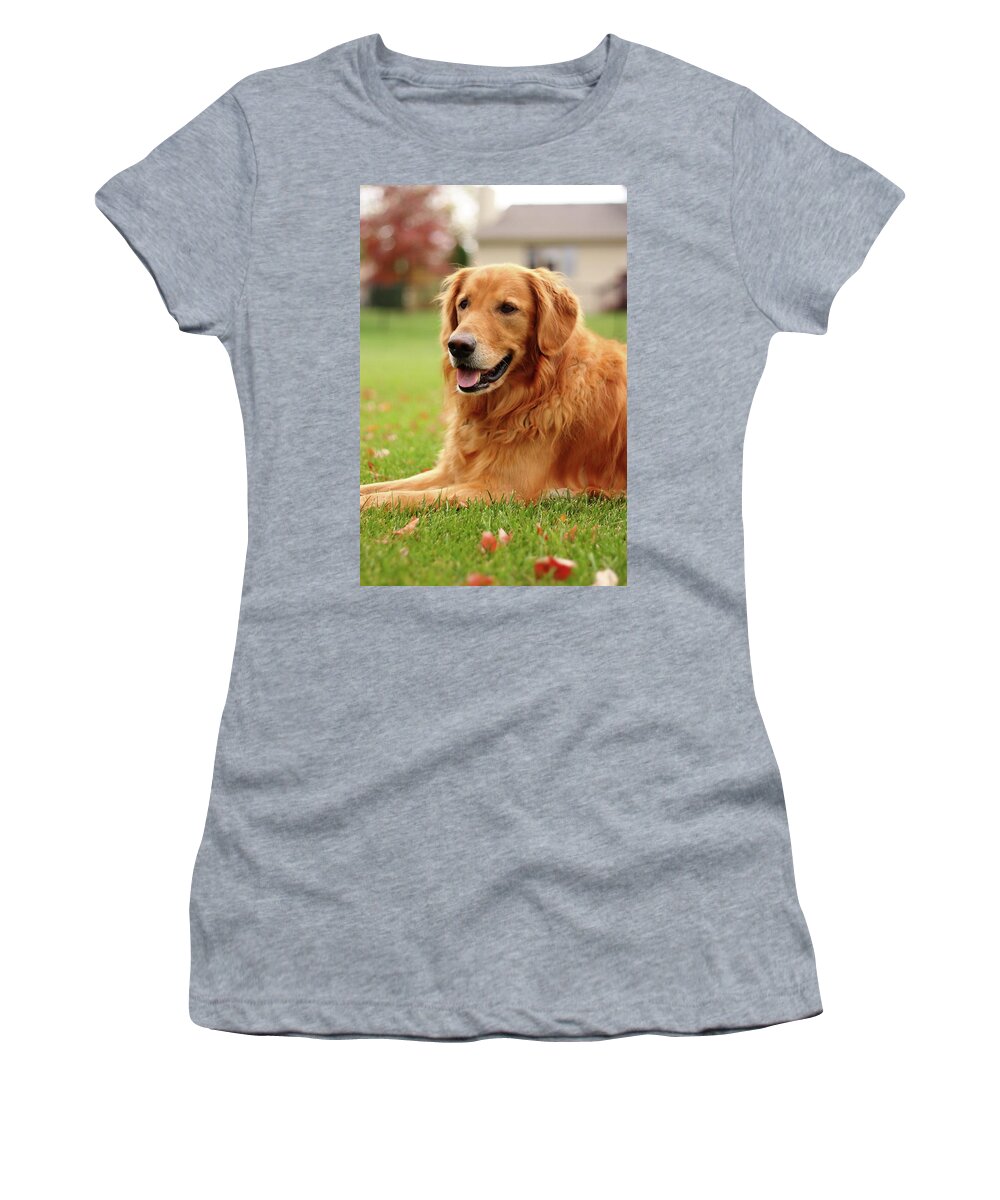 Dog Women's T-Shirt featuring the photograph Handsome Golden by Lens Art Photography By Larry Trager
