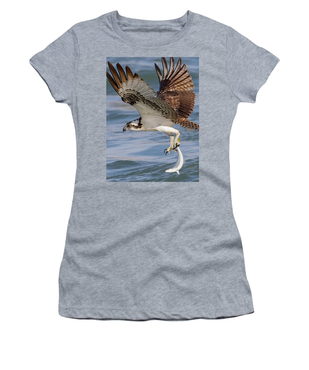 Osprey Women's T-Shirt featuring the photograph Hangin' by One by RD Allen