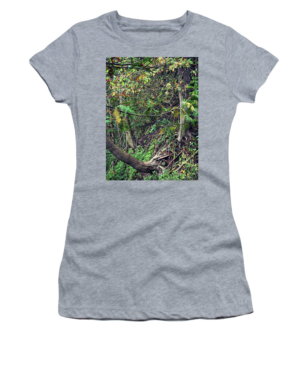 Hanging On A Slide Women's T-Shirt featuring the photograph Hanging on a slide by Cyryn Fyrcyd