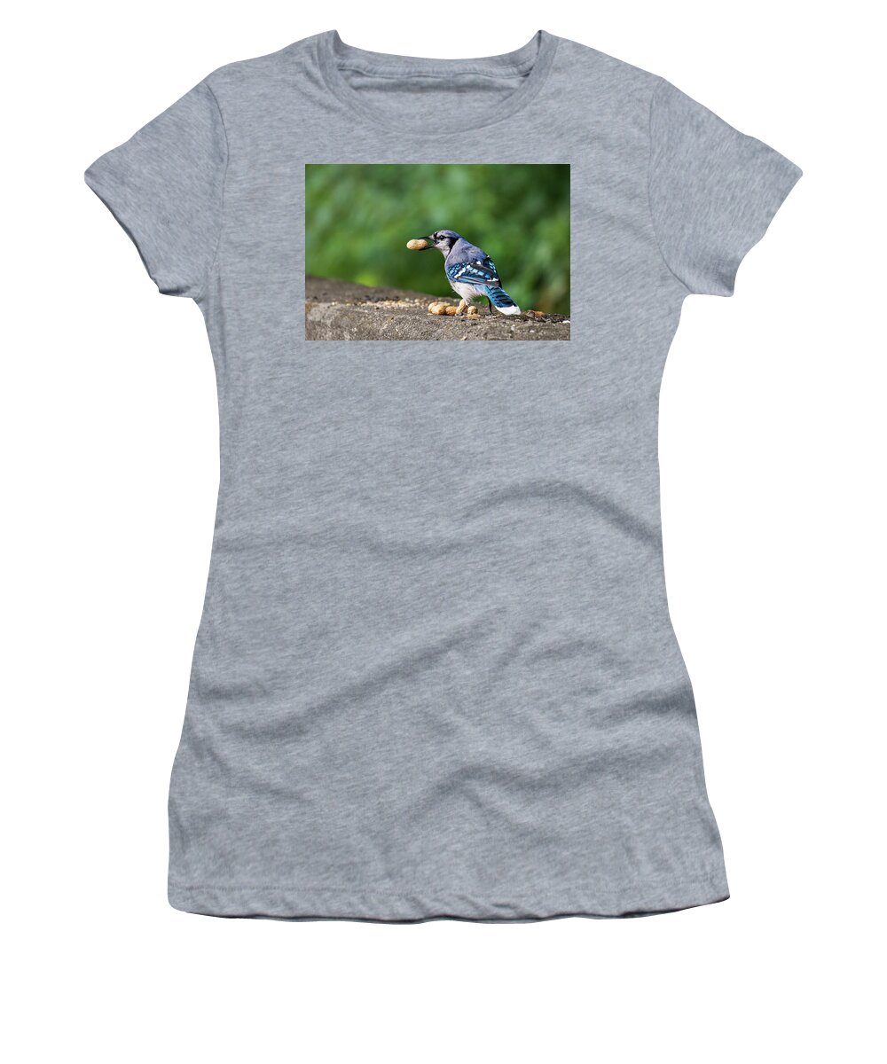 Blue Jay Women's T-Shirt featuring the photograph Happy Blue Jay with Peanut by Ilene Hoffman