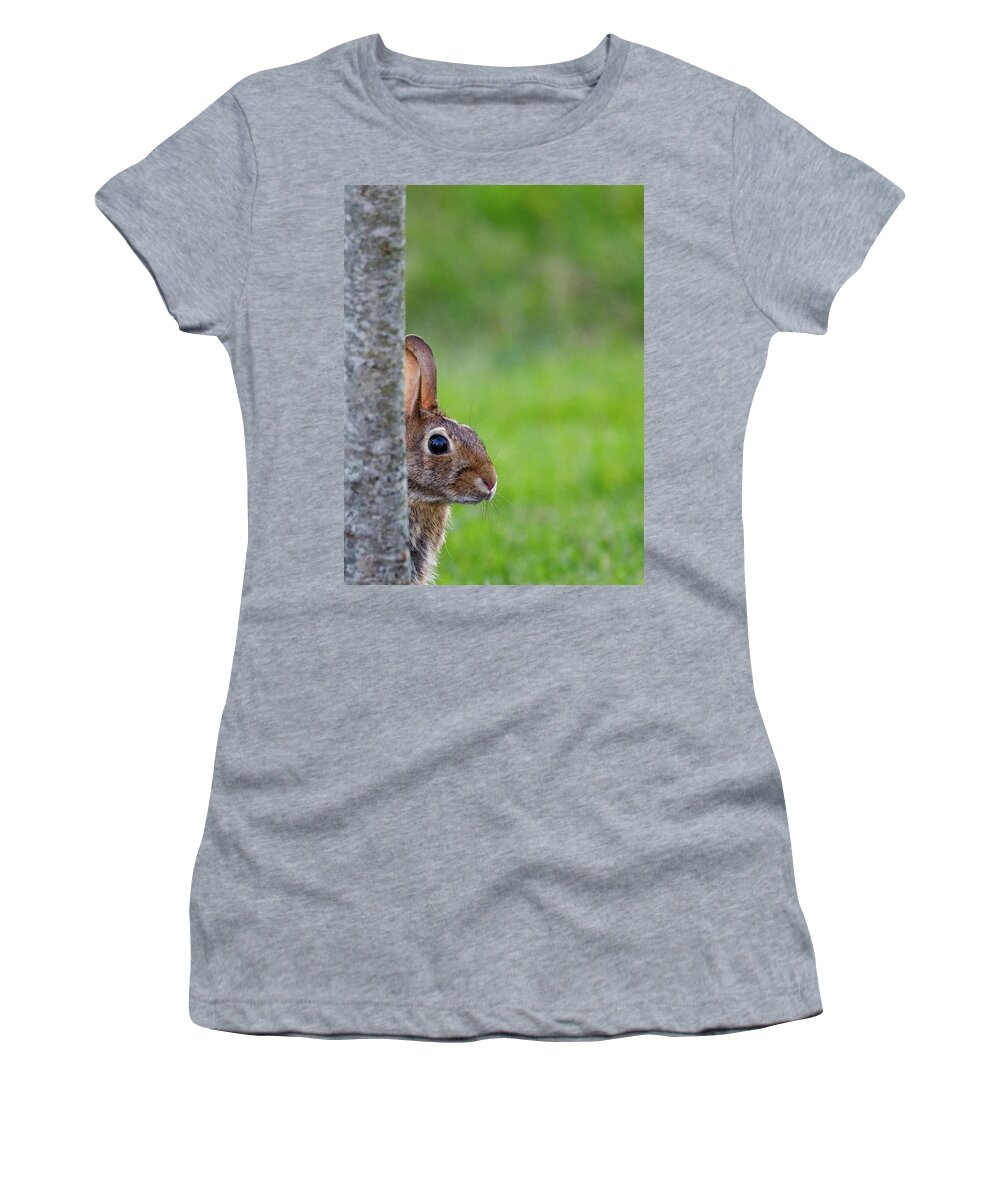 Bunny Women's T-Shirt featuring the photograph Hare by David Beechum