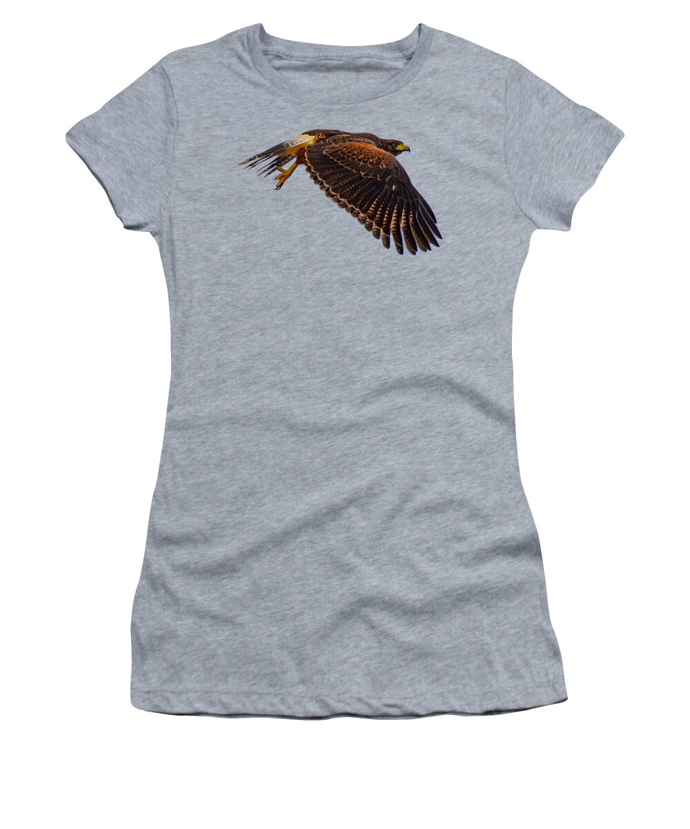 Mark Myhaver Photography Women's T-Shirt featuring the photograph Harris's Hawk 24783 by Mark Myhaver