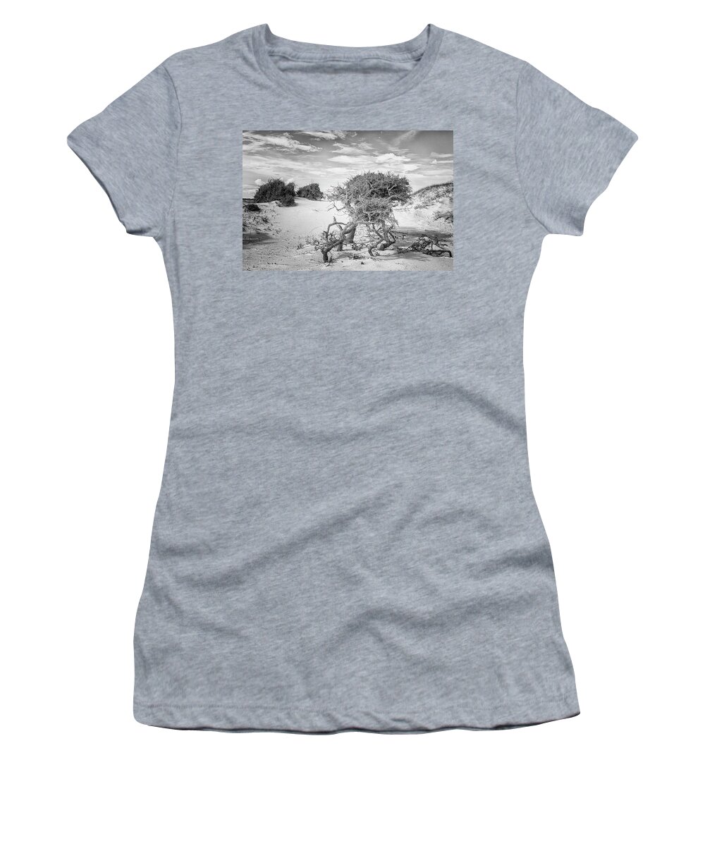 Cedar Island Women's T-Shirt featuring the photograph Harsh Environment - the Struggle for Life on a Remote Beach by Bob Decker