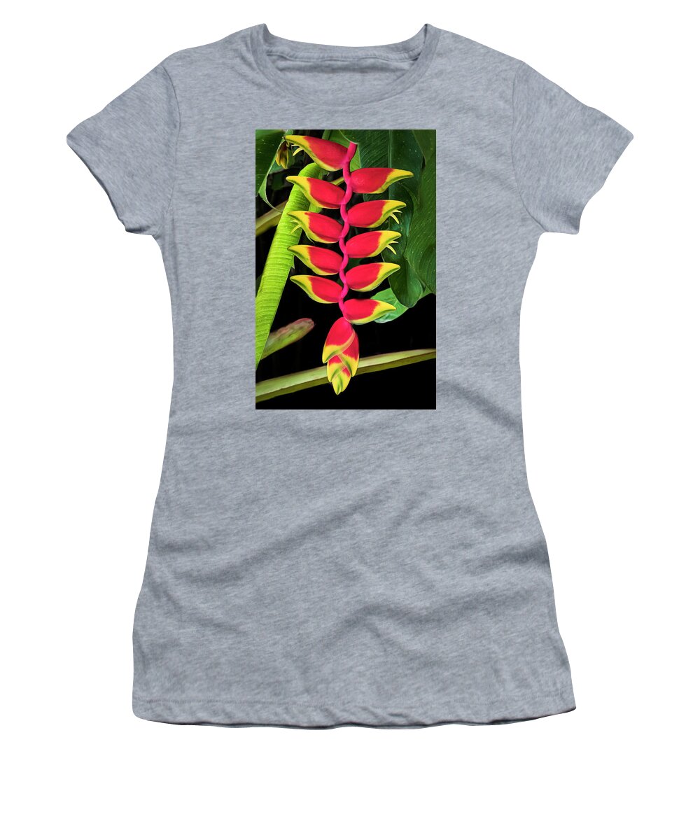 Heliconia Women's T-Shirt featuring the photograph Heliconia Lobster Claw by Ginger Stein