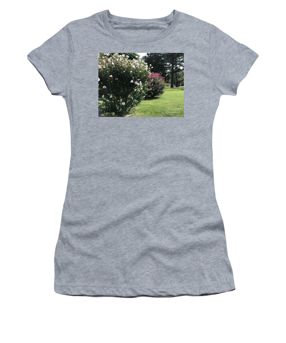 Hibiscus Women's T-Shirt featuring the photograph Hibiscus Row by Catherine Wilson