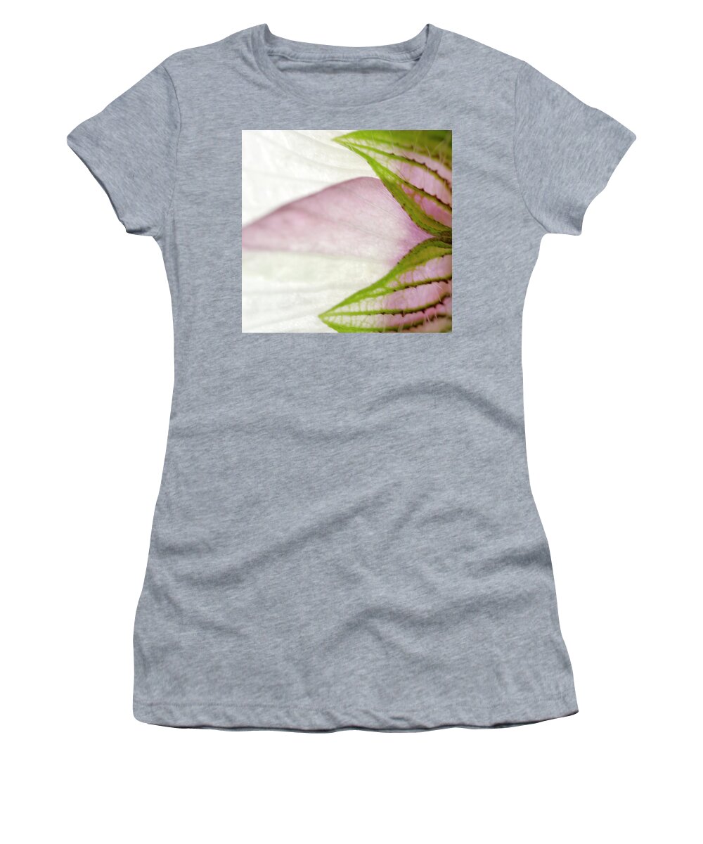 White Women's T-Shirt featuring the photograph Hibiscus trionum Wild Flower Square by Iris Richardson