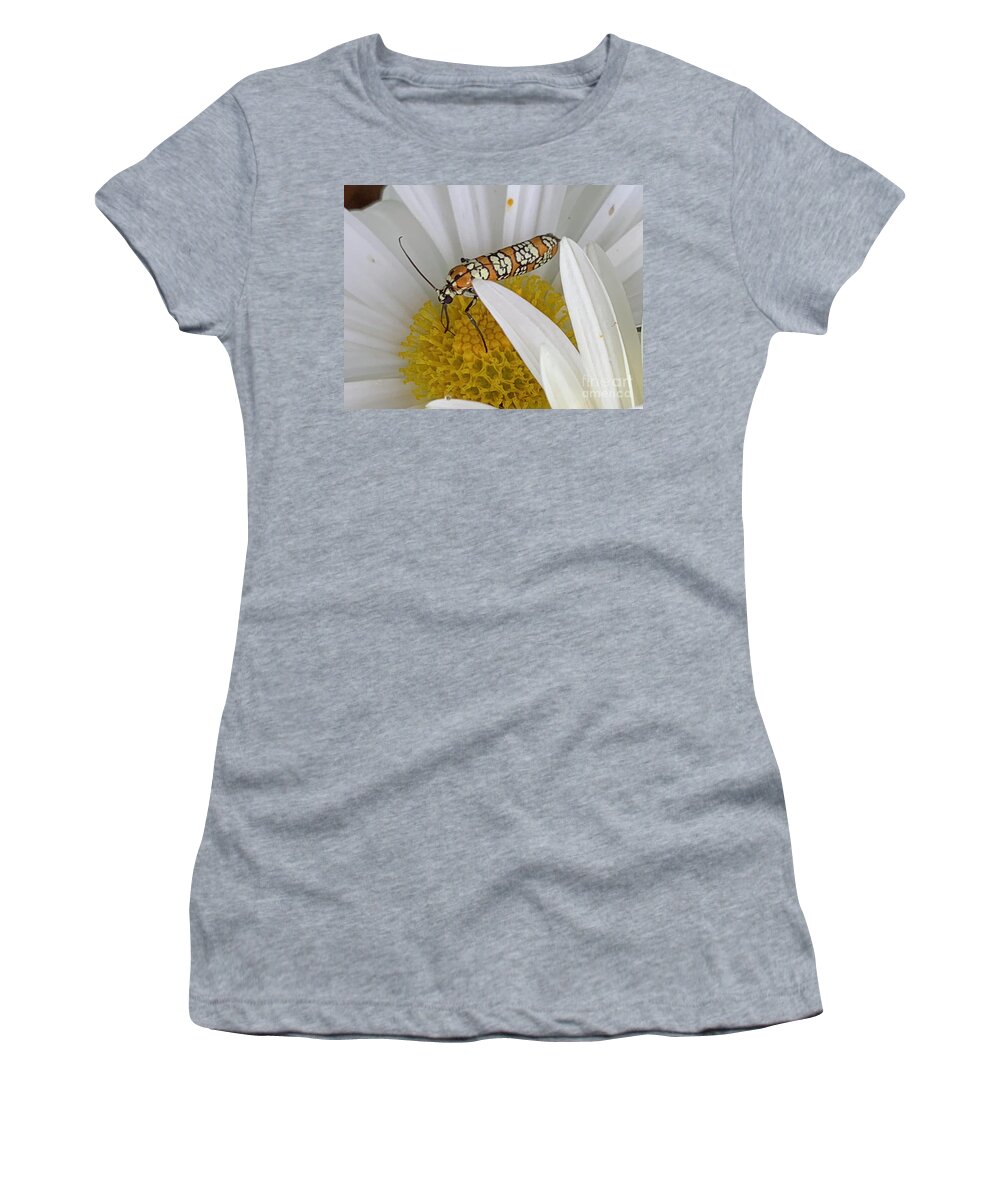 Daisy Women's T-Shirt featuring the photograph Hide me Here Bug by Catherine Wilson