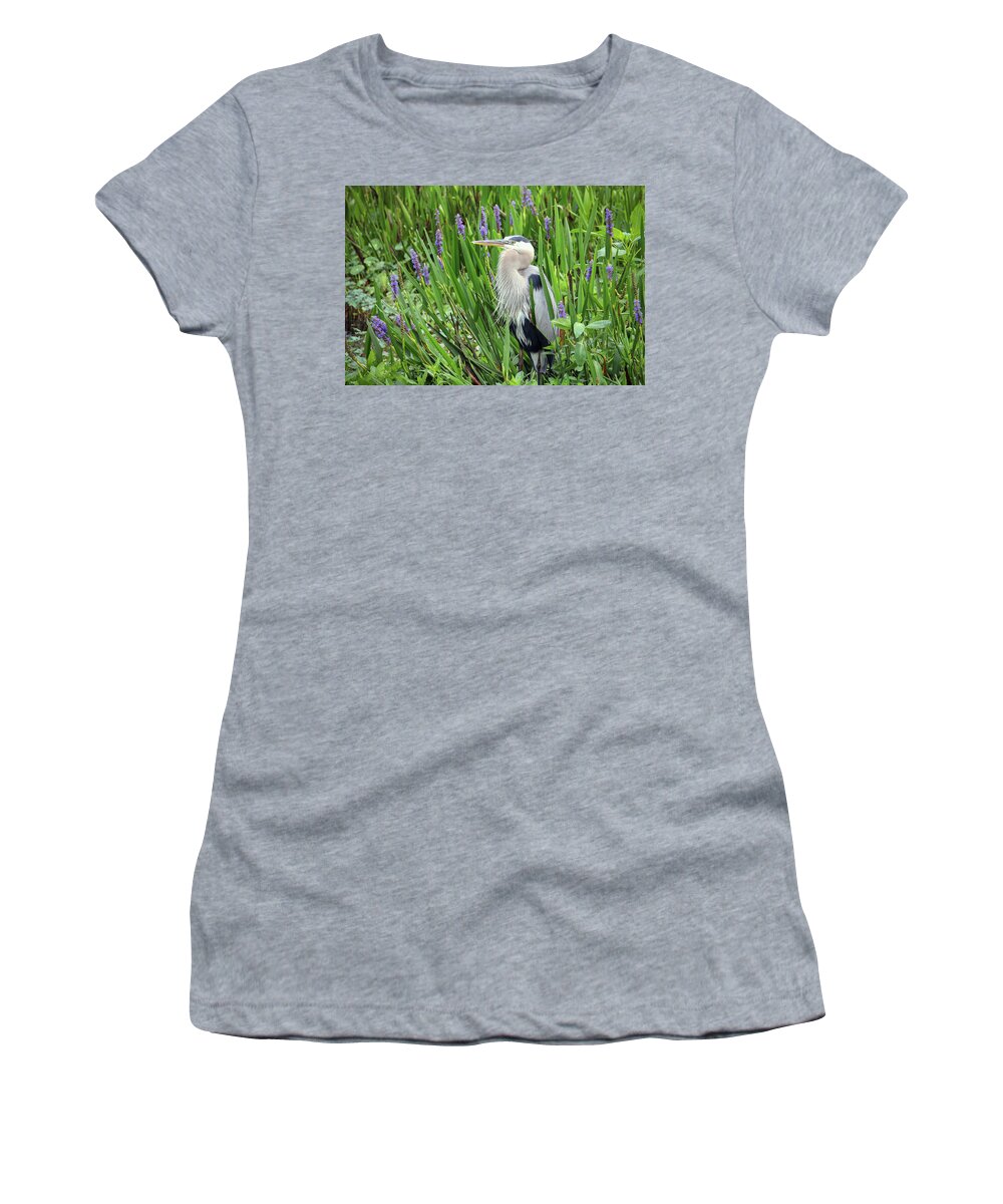 Ardea Herodias Women's T-Shirt featuring the photograph Hiding in the Pickerelweed by Robert Carter