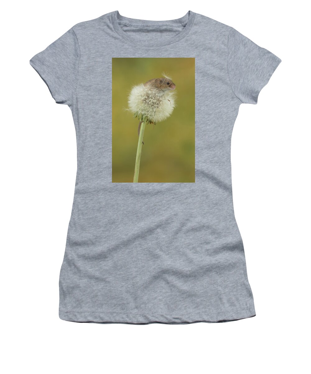 Harvest Women's T-Shirt featuring the photograph Hm-7426 by Miles Herbert