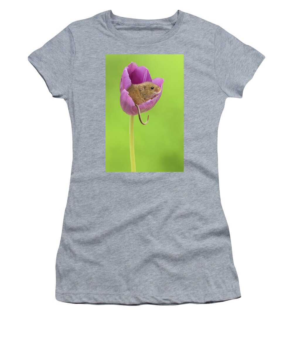 Harvest Women's T-Shirt featuring the photograph HMTulips-7579 by Miles Herbert