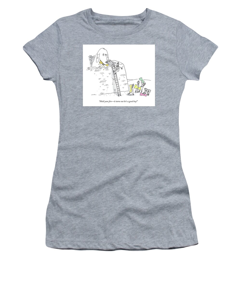 Cctk Women's T-Shirt featuring the drawing Hold Your Fire by Michael Maslin