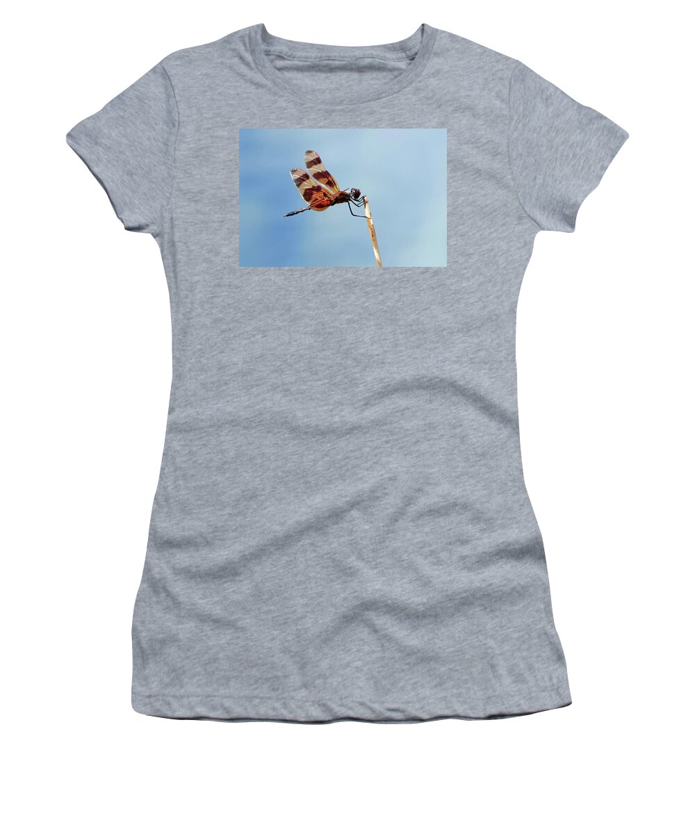 Dragon Fly Women's T-Shirt featuring the photograph Holding on for dear life by Carl Sheffer
