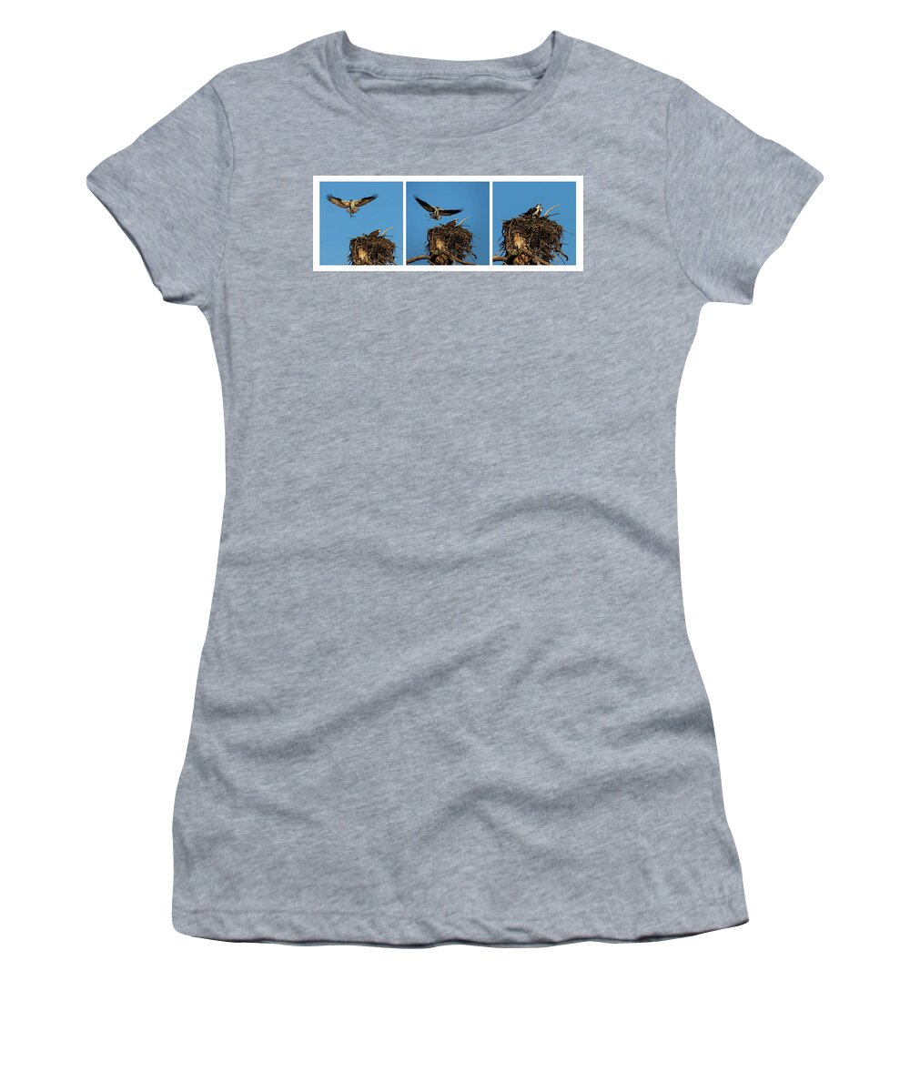 Nature Women's T-Shirt featuring the photograph Honey Do List Triptych by Mike Lee