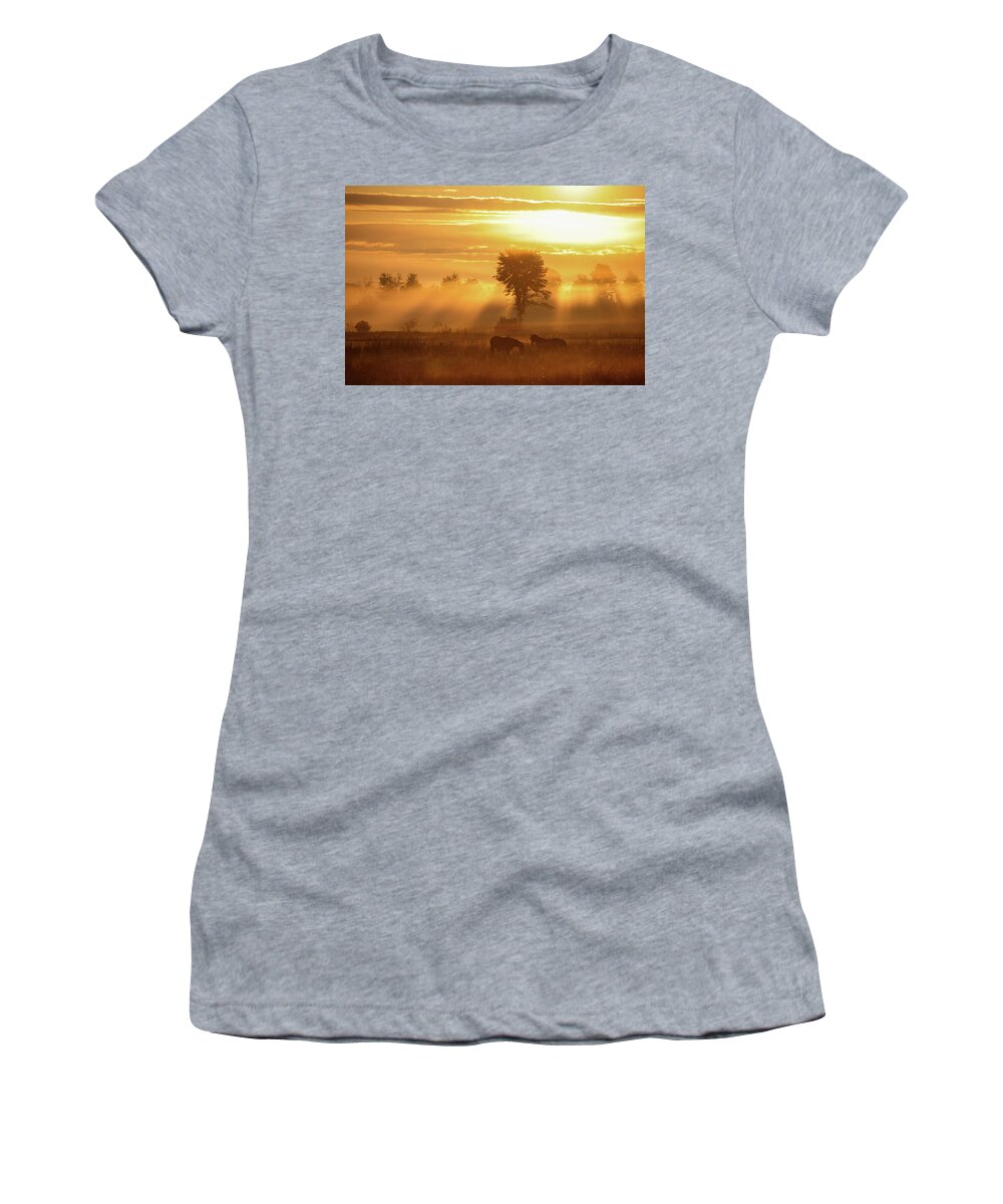 Sunrise Women's T-Shirt featuring the photograph Horse Sunrise by Brook Burling