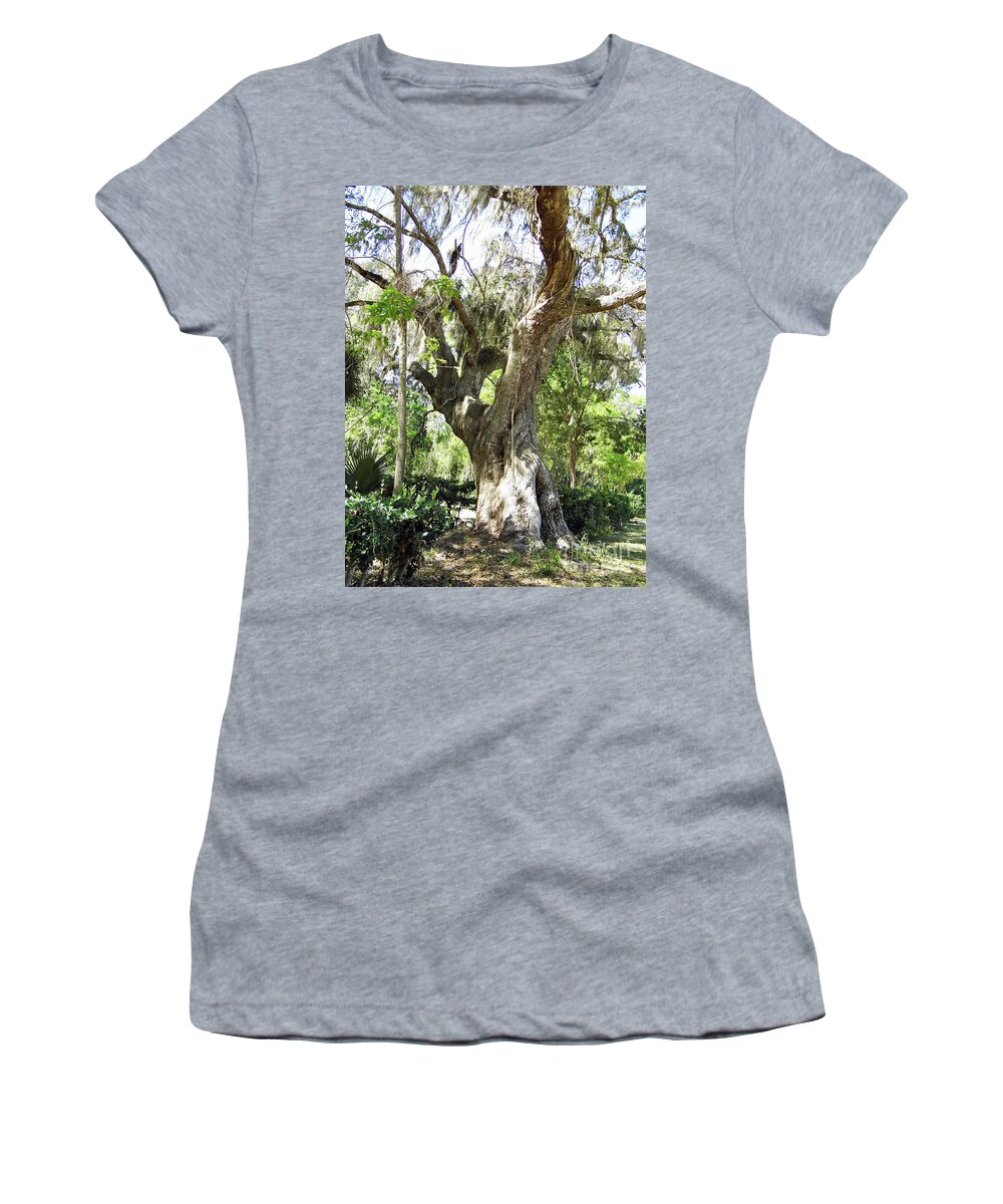 Tree Women's T-Shirt featuring the photograph Huge Oak At Kingsley Plantation by D Hackett