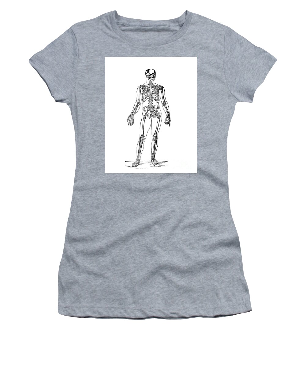 Skeleton Women's T-Shirt featuring the drawing Human Skeleton Illustration Vintage by Pete Klinger
