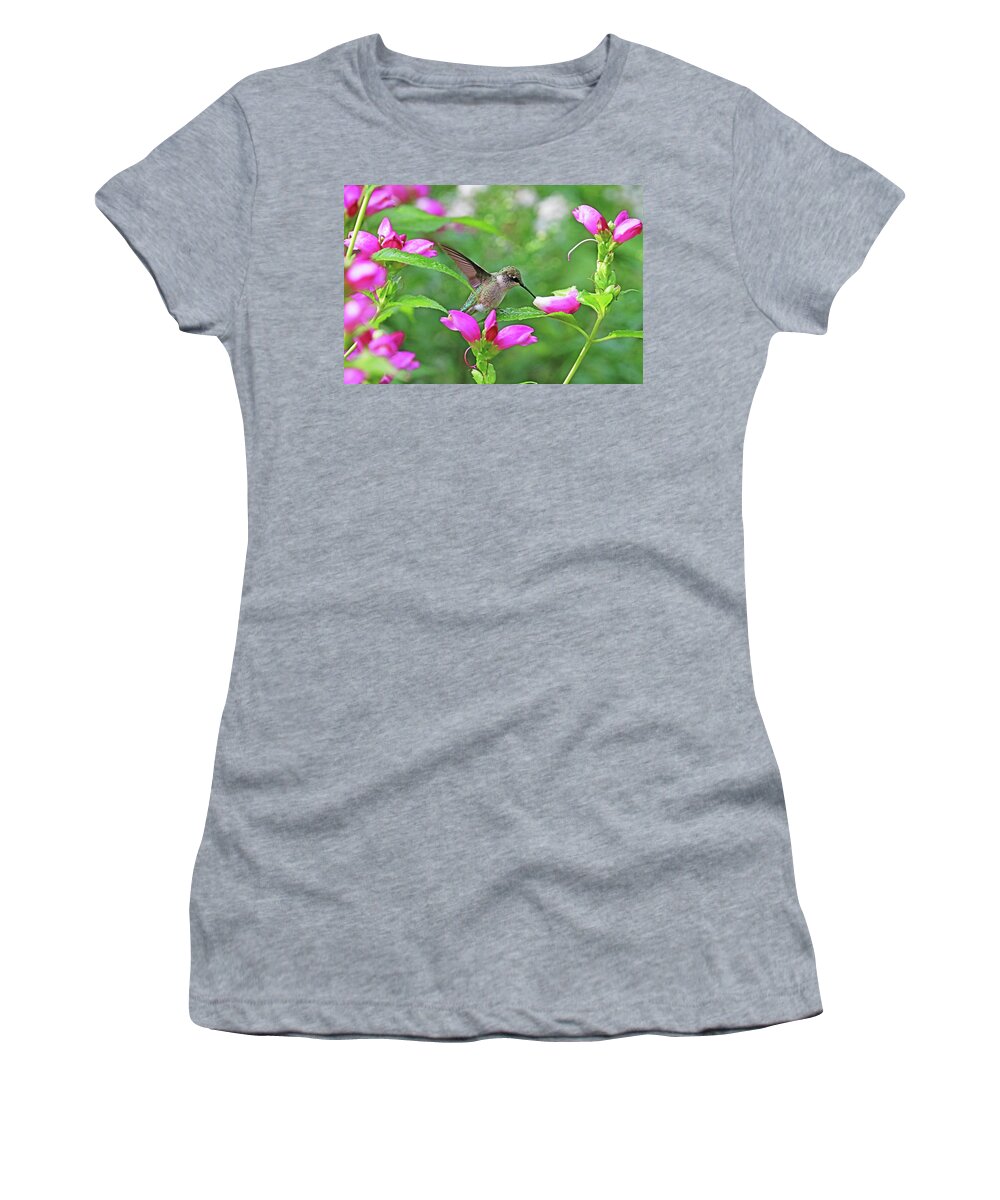 Hummingbird Women's T-Shirt featuring the photograph Hummingbird Landing On Dewy Leaf by Debbie Oppermann