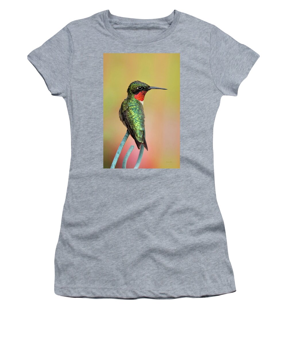 Hummingbird Women's T-Shirt featuring the photograph Hummingbird Love by Christina Rollo