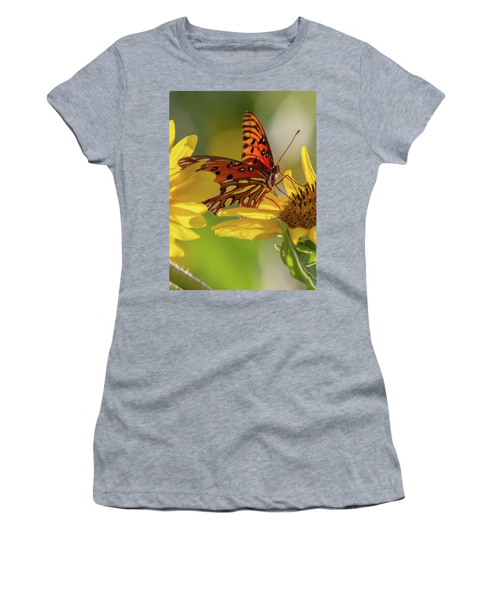 Butterfly Women's T-Shirt featuring the photograph Hungry butterfly by Jamie Tyler