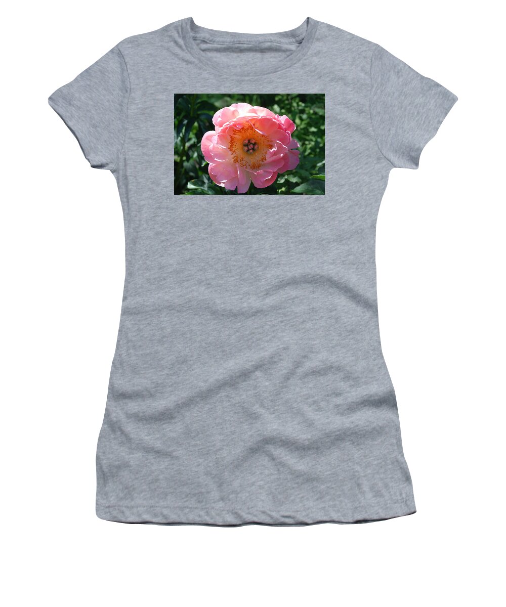 Hybrid Peonie Women's T-Shirt featuring the photograph Hybrid Peonie Face by Ee Photography