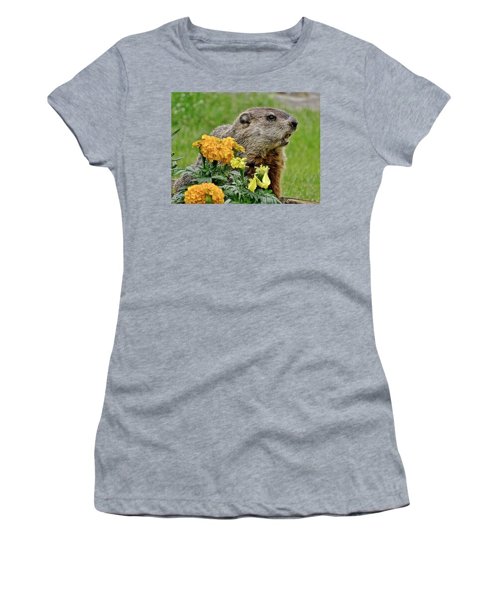 Groundhog Women's T-Shirt featuring the photograph I Promise Not To Eat All The Flowers by Susan Sam