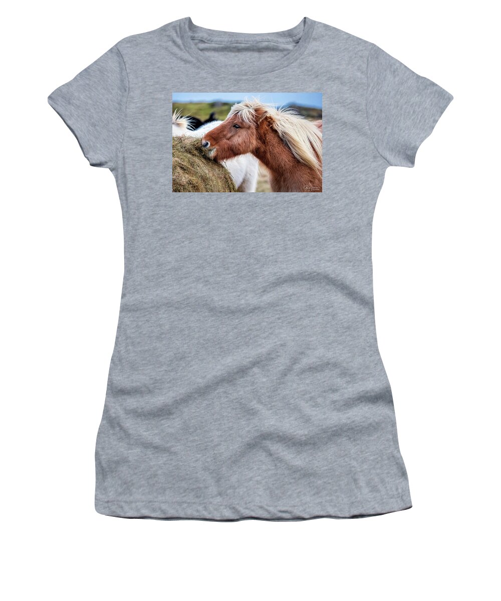 Iceland Women's T-Shirt featuring the photograph Icelandic Farm Horse by Gary Johnson