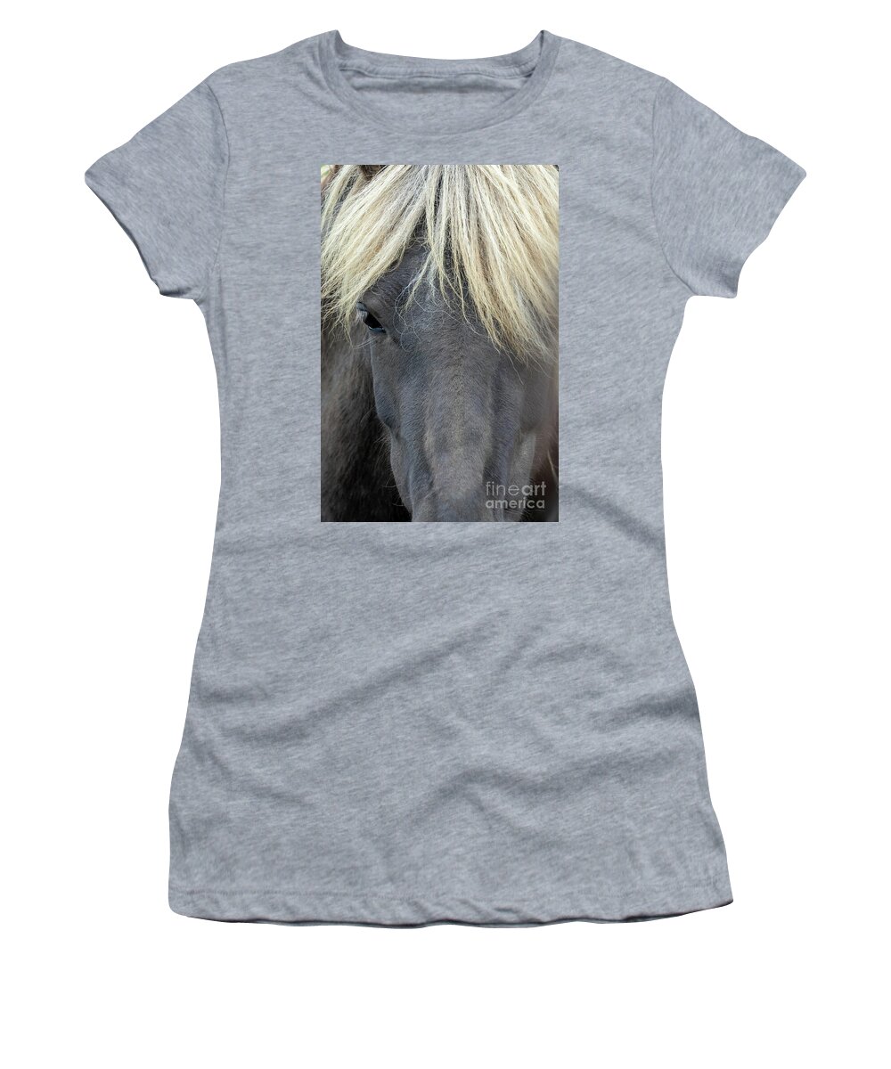 Horse Women's T-Shirt featuring the photograph Icelandic horse portrait by Delphimages Photo Creations