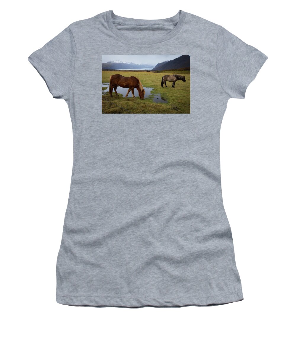 Icelandic Women's T-Shirt featuring the photograph Icelandic Horses by Alice Schlesier