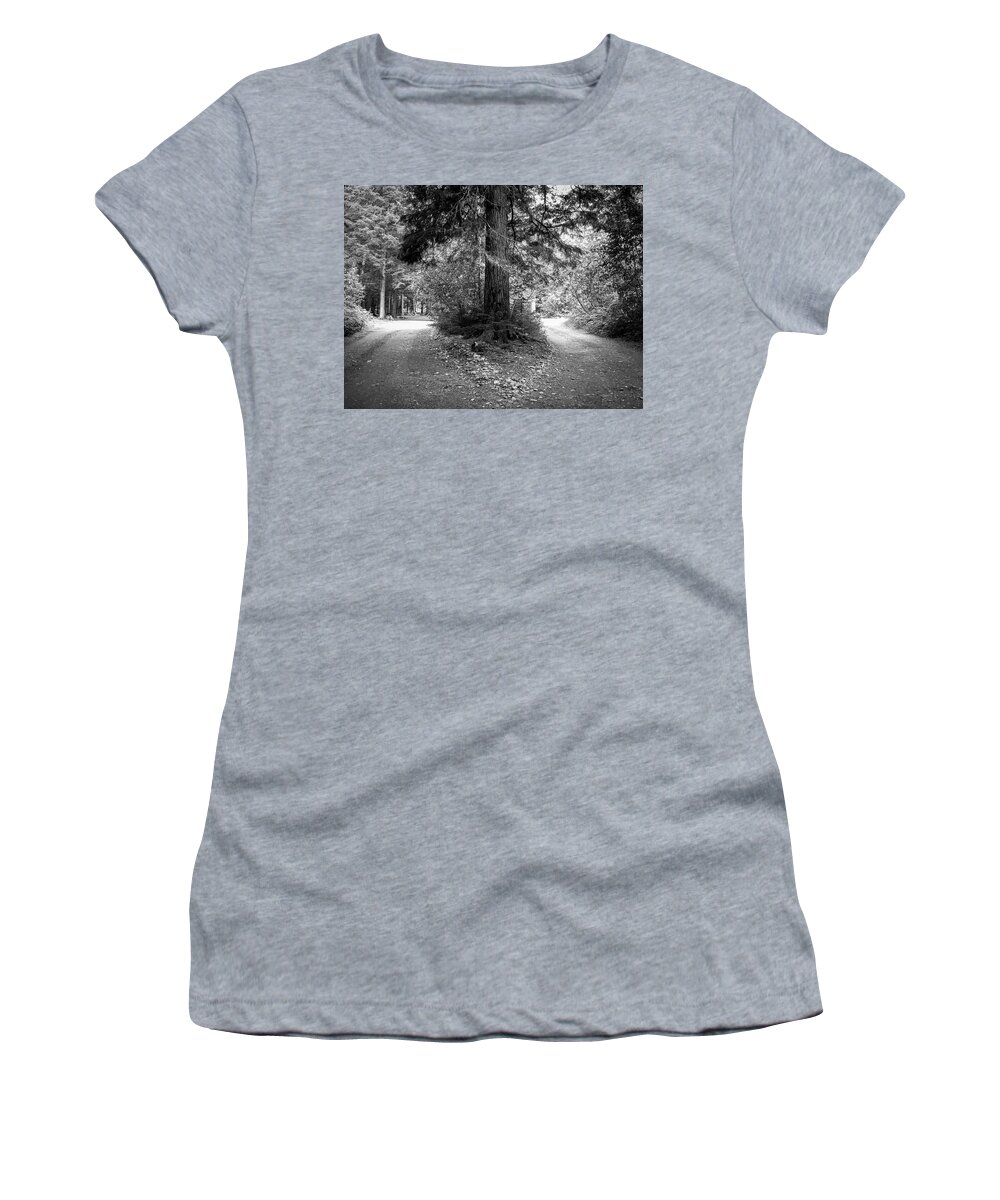 Tree Women's T-Shirt featuring the photograph If You See a Fork in the Road, Take It by Mary Lee Dereske