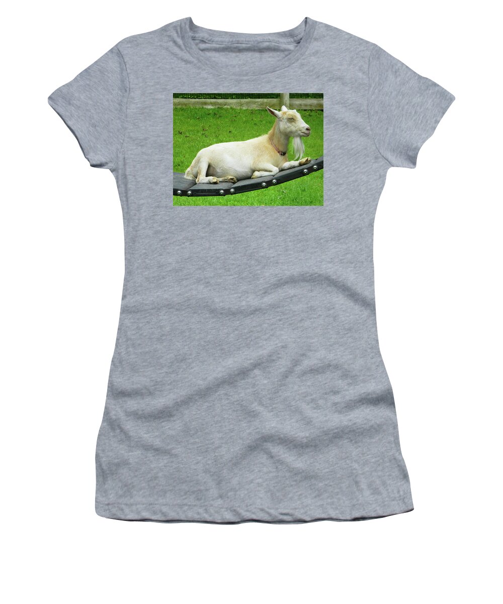 Goats Women's T-Shirt featuring the photograph I'm Lucy - I Like You by Emmy Marie Vickers