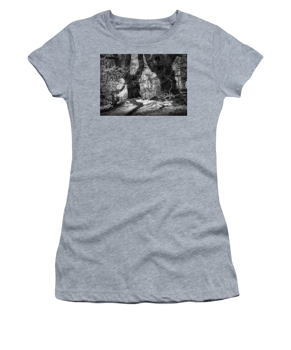 Landscape Women's T-Shirt featuring the photograph In the moonlight 3 by Remigiusz MARCZAK