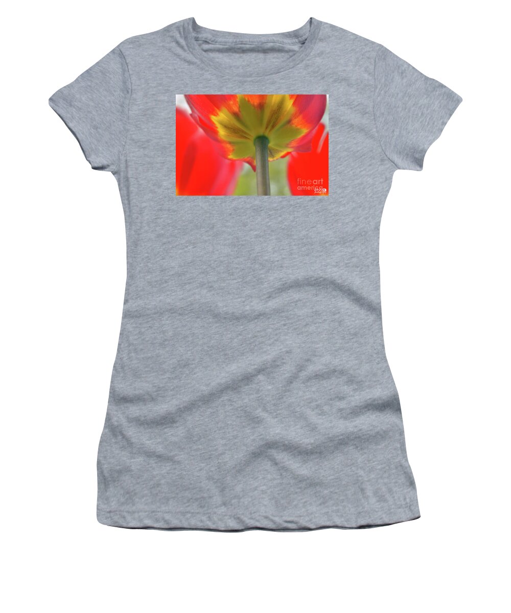 Tulip Women's T-Shirt featuring the photograph In the shade of a Tulip by Elaine Berger