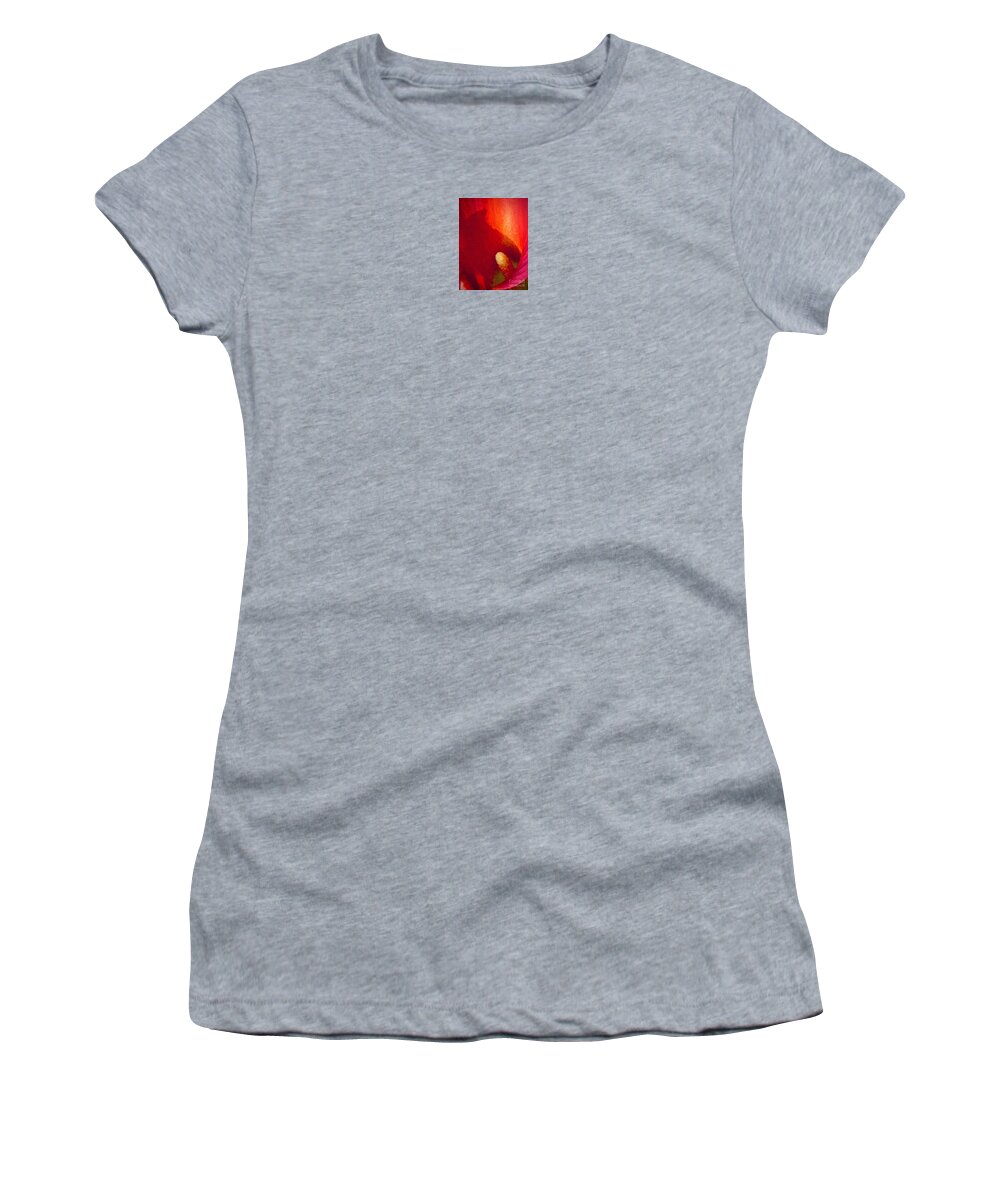 Lily Women's T-Shirt featuring the photograph Incandesced by Tiesa Wesen