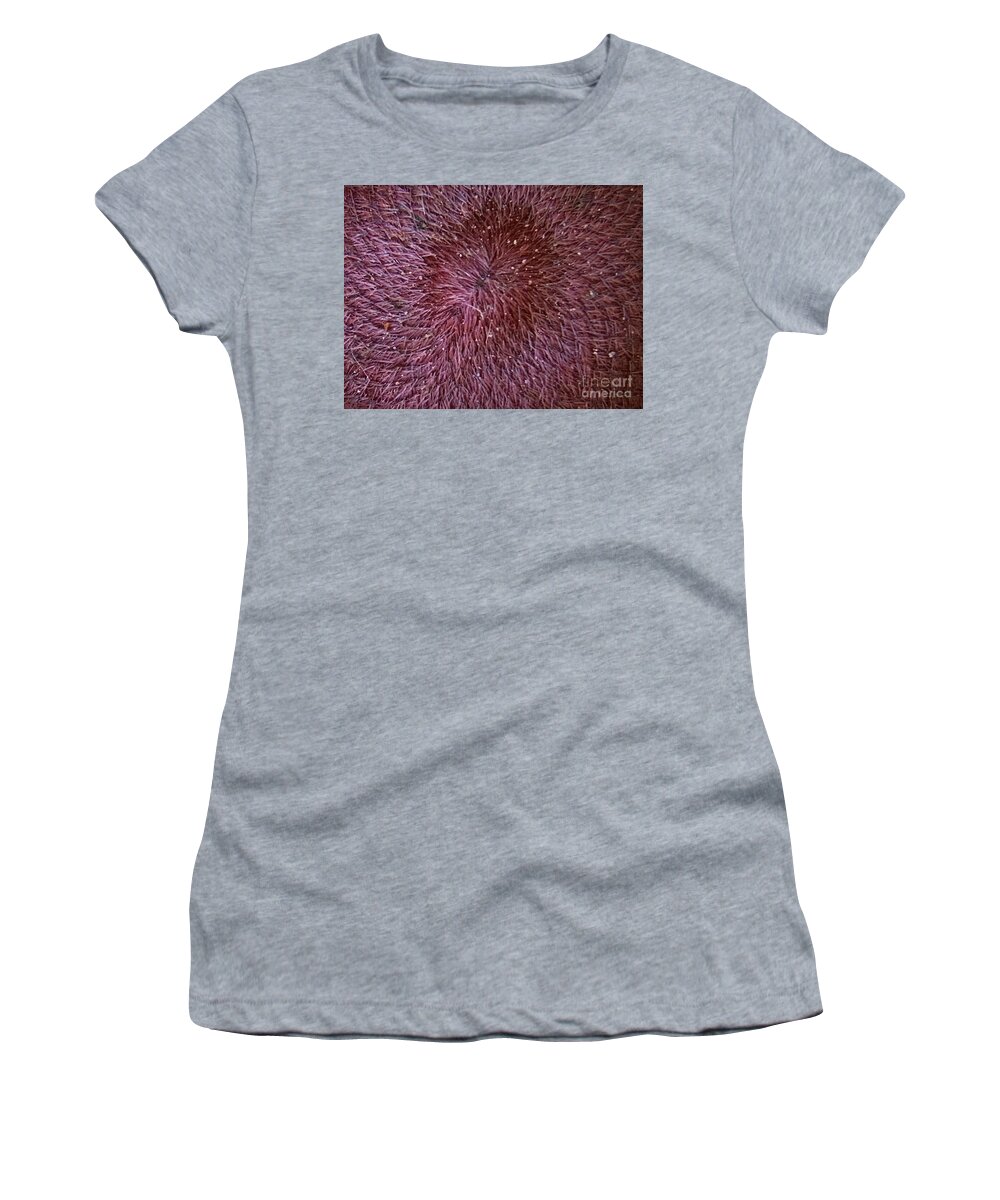 Sunflower Women's T-Shirt featuring the photograph Inner Peace by Catherine Wilson