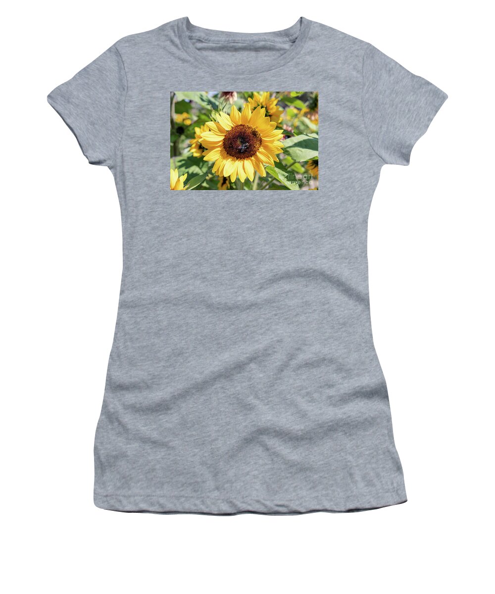Sunflower Women's T-Shirt featuring the photograph Insect on Yellow Sunflower by Vivian Krug Cotton