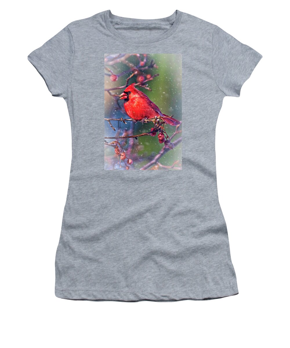 Nature Women's T-Shirt featuring the photograph It's Snowing Outside by Marcia Colelli