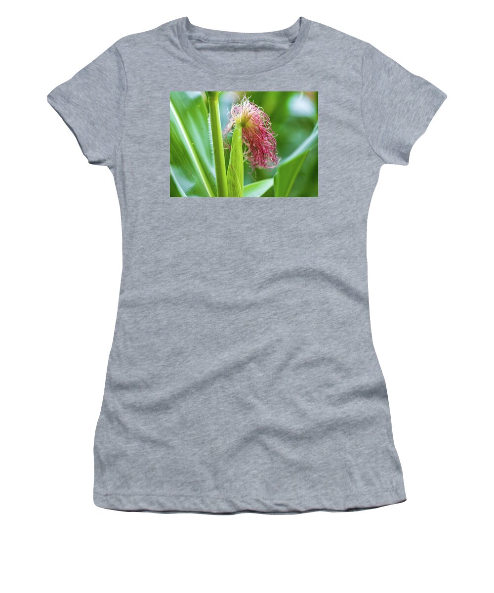 Summer Women's T-Shirt featuring the photograph Jersey Corn - Food Photography by Amelia Pearn