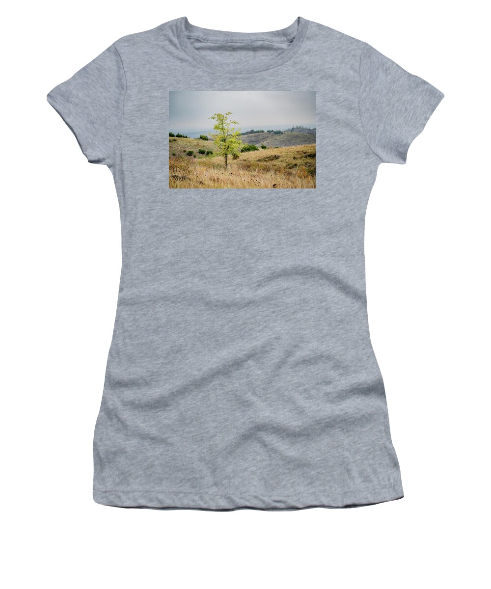 Tree Women's T-Shirt featuring the photograph Just A Green Tree by Iris Greenwell