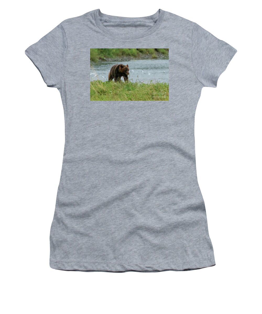 Alaska Women's T-Shirt featuring the photograph Juvenile Brown Bear on the Bank of Pack Creek, Alaska by Nancy Gleason