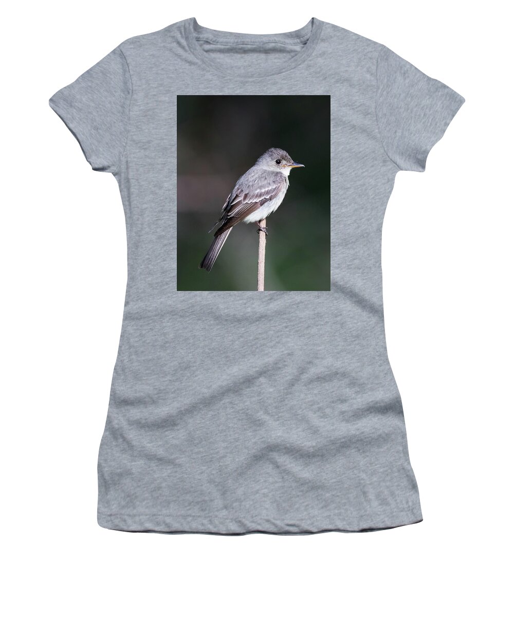  Women's T-Shirt featuring the photograph Eastern Kingbird by Jim Miller