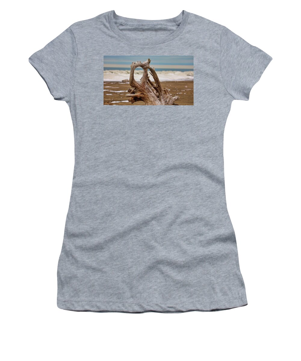 Lake Erie Women's T-Shirt featuring the photograph Lake Erie Driftwood by Scott Burd