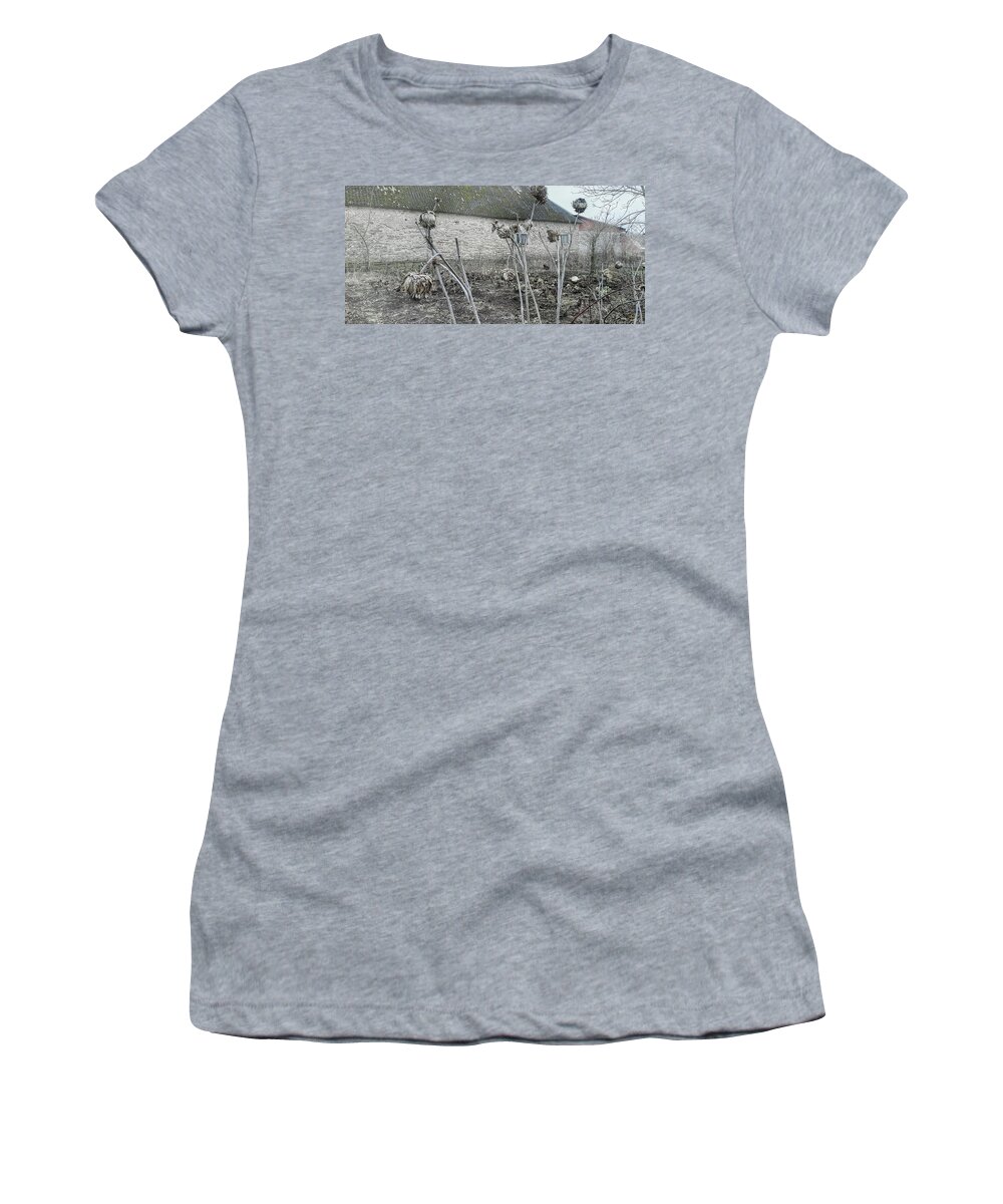 Artichoke Women's T-Shirt featuring the photograph Last Summer's Artichoke 2 by Elaine Berger