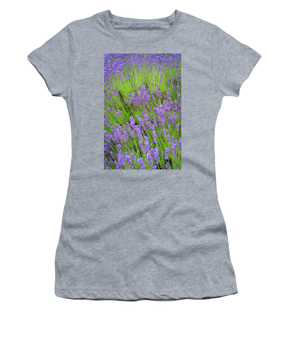 Lavender Women's T-Shirt featuring the photograph Lavender in June by Mary Lee Dereske