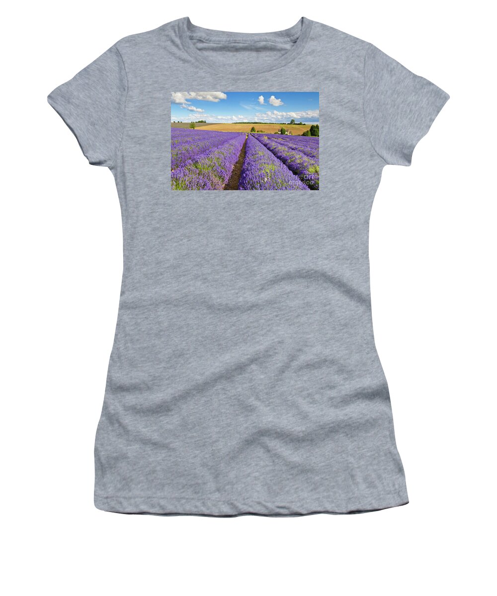 Lavender Fields Women's T-Shirt featuring the photograph Lavender rows at Snowshill Farm, The Cotswolds, England by Neale And Judith Clark