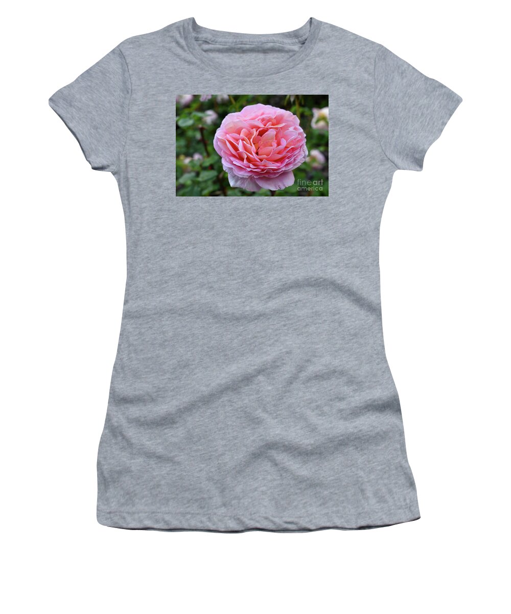 Nature Women's T-Shirt featuring the photograph Let me take you to Fields of Roses 001 by Leonida Arte